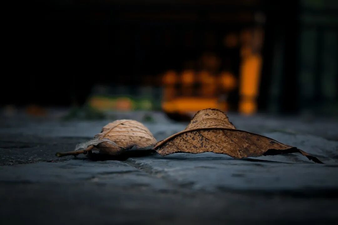 电商进入出清期