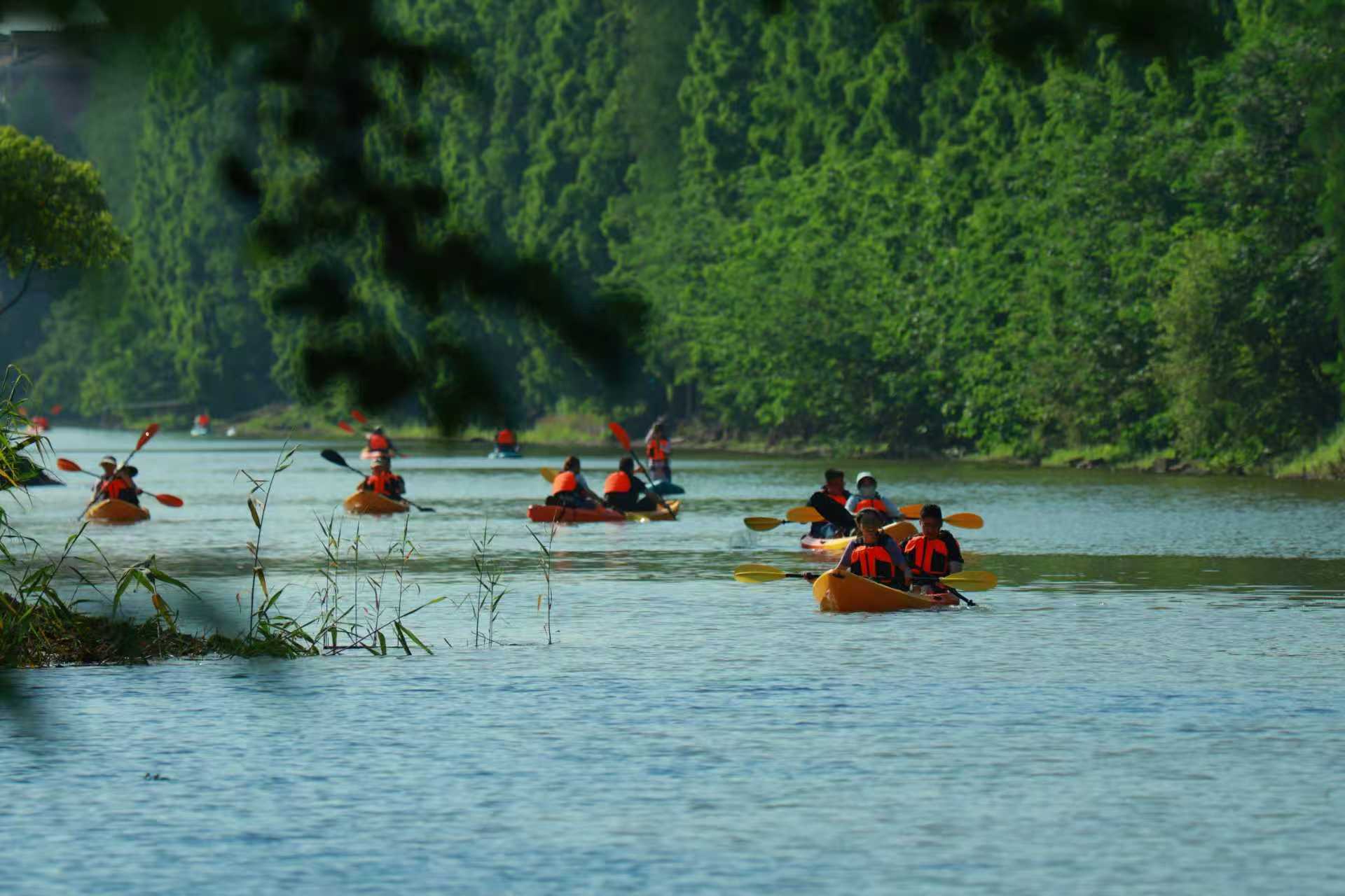 太仓璜泾镇：新质生产力的乡土答案