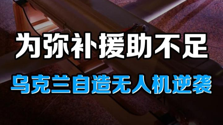 无人机取代导弹？为弥补援助不足，乌克兰自造无人机逆袭