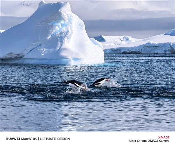 何刚晒华为Mate 80系列实拍样张：红枫影像色彩表现一绝