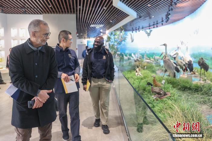 11月17日,中外嘉宾在鄱阳湖湿地和候鸟宣传教育中心参观,了解鄱阳湖人文地理、动植物资源和相关保护工作开展情况。 刘力鑫 摄