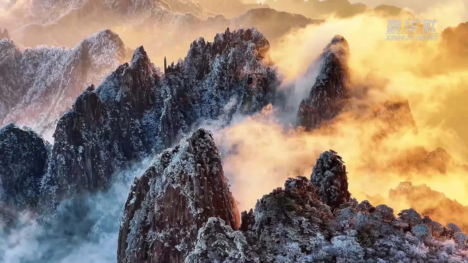 黄山风景区迎今冬首场雾凇景观