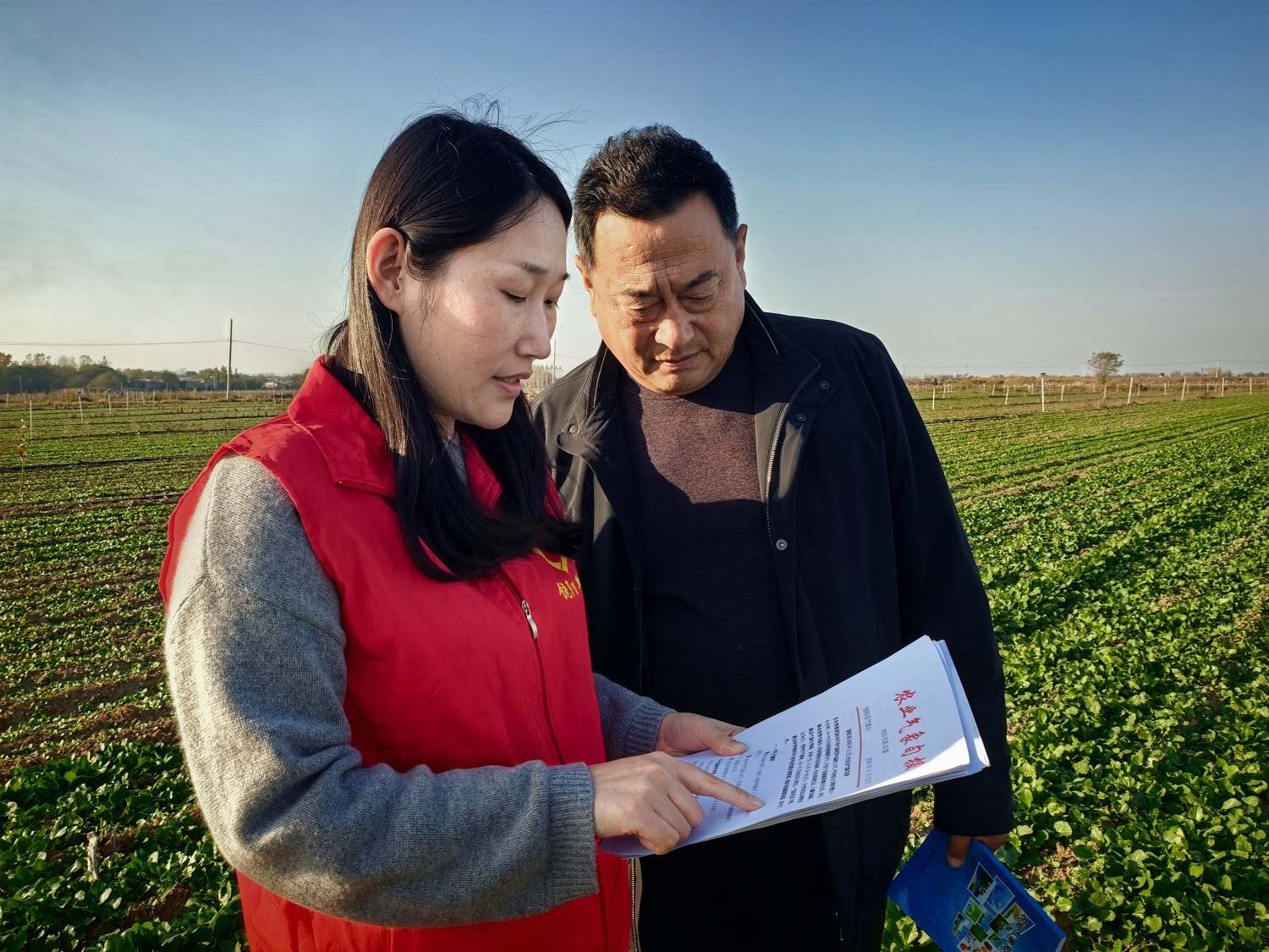 衡水饶阳:气象“处方”暖田间 护航粮油作物安全越冬