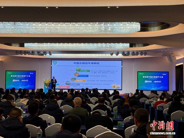 图为第五届中国水稻增产大会现场。 卢梦梦 摄