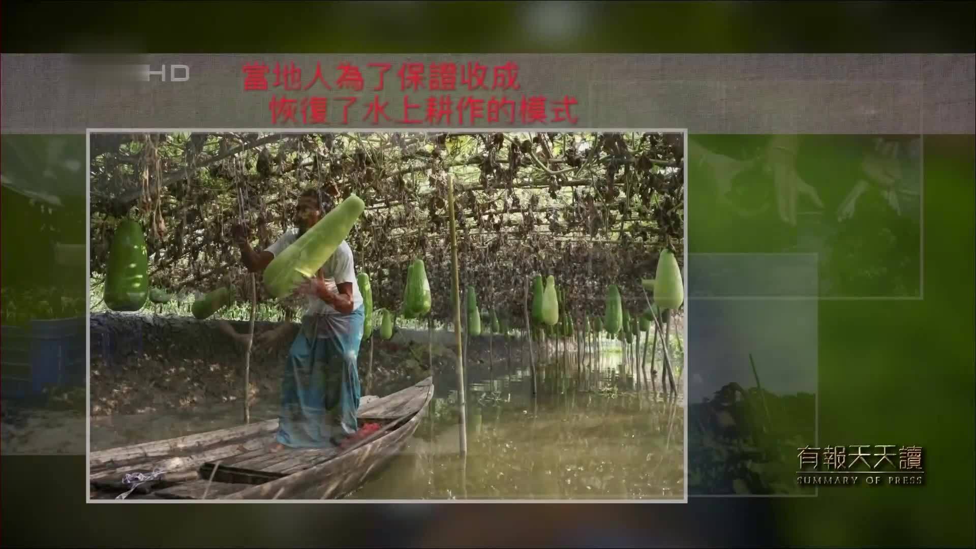 11月17日大千世界