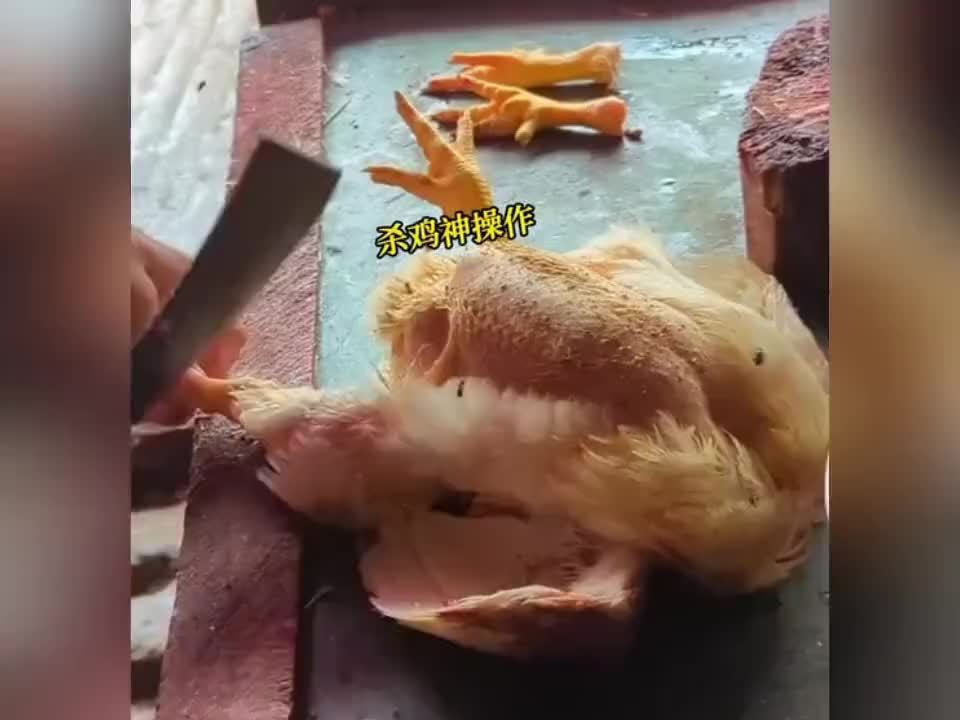 外国人杀鸡，方式让人大开眼界，当你还在烧水别人已经杀好了