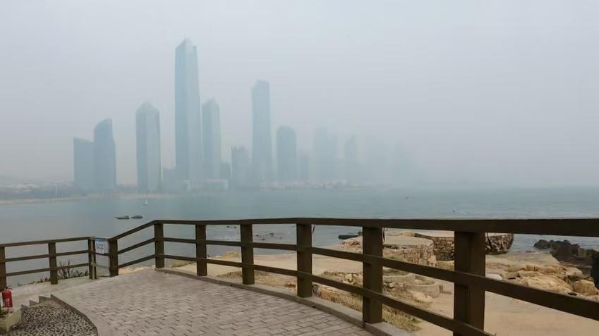 （图片来源于直播实时画面截取）