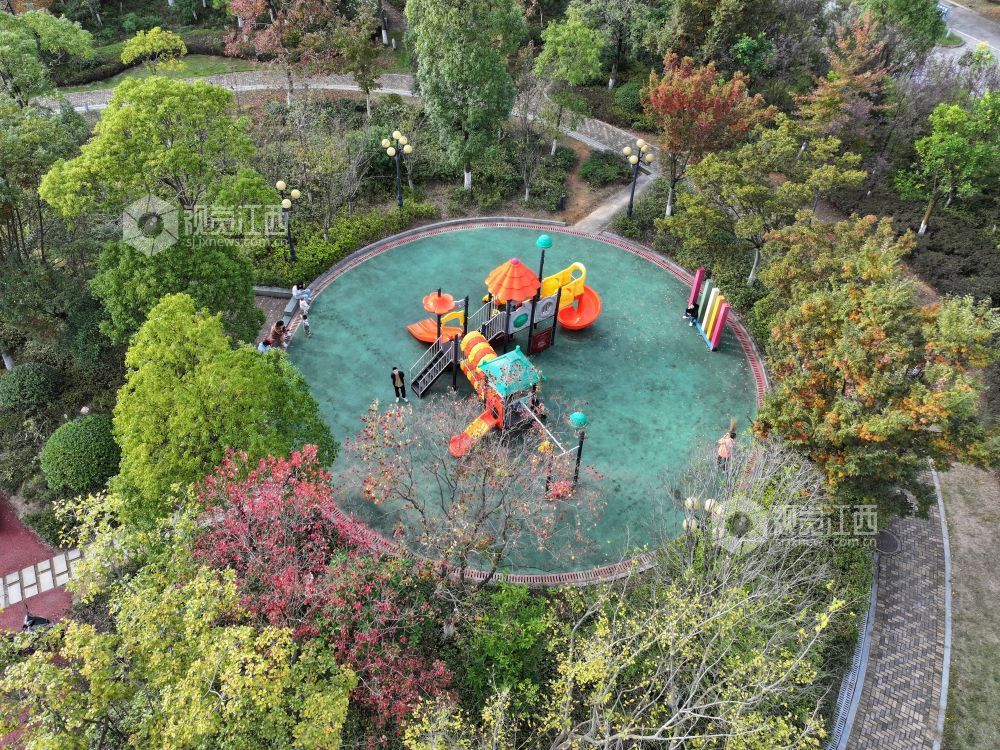 2025年11月14日,江西省萍乡市芦溪县芦洲园湿地公园,色彩斑斓的公园在冬日阳光映衬下美如画卷,吸引不少市民前来拍照打卡。