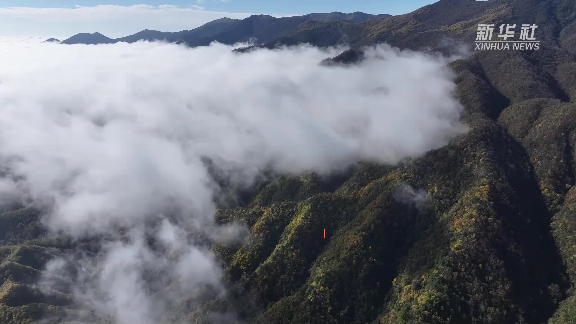 巴山冬景 绚丽如画