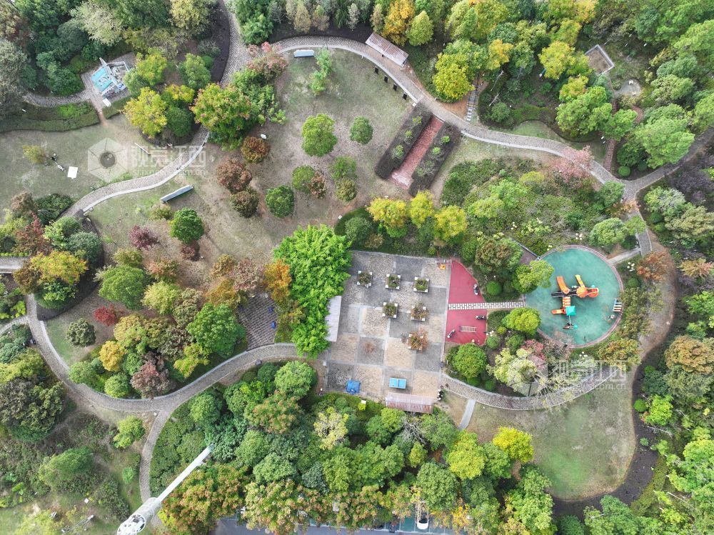 2025年11月14日,江西省萍乡市芦溪县芦洲园湿地公园,色彩斑斓的公园在冬日阳光映衬下美如画卷,吸引不少市民前来拍照打卡。