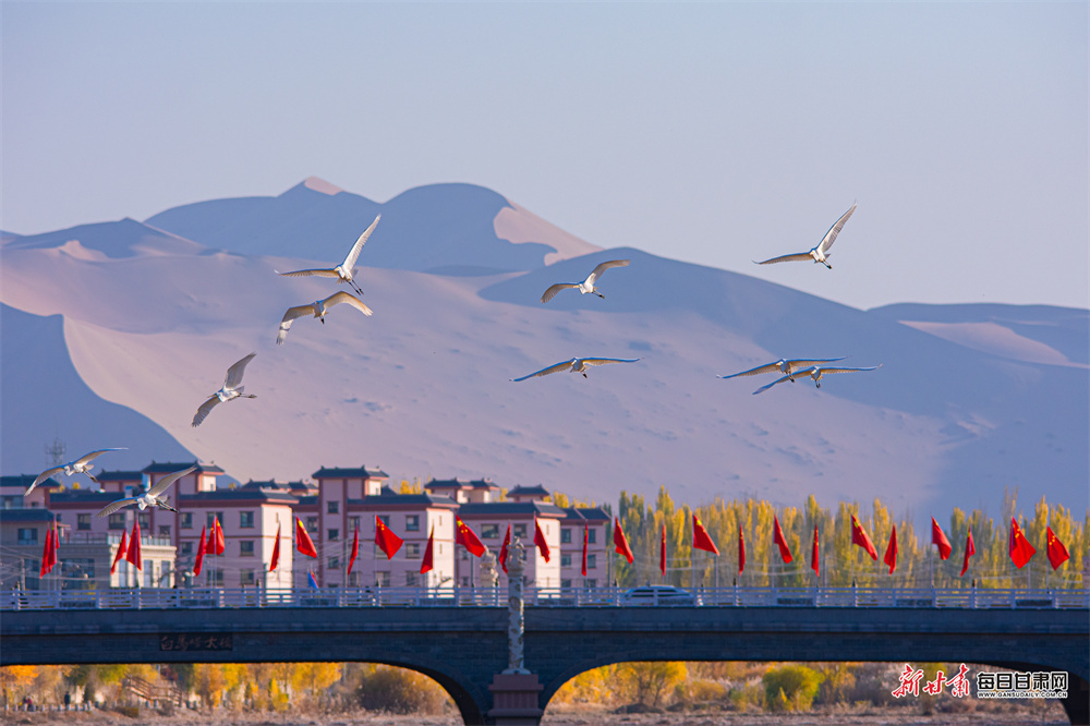 甘肃上演绝美冬日浪漫大片　快来一探究“镜”