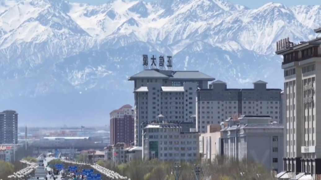 【非凡“十四五”　奋进新肃州】党建引领人才集聚　构建“引育留用”新机制