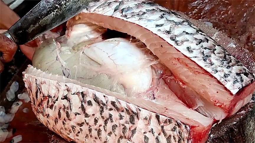 12公斤巨型草鱼市场现场处理，鱼卵比鱼还重，这样的鱼好吃吗？