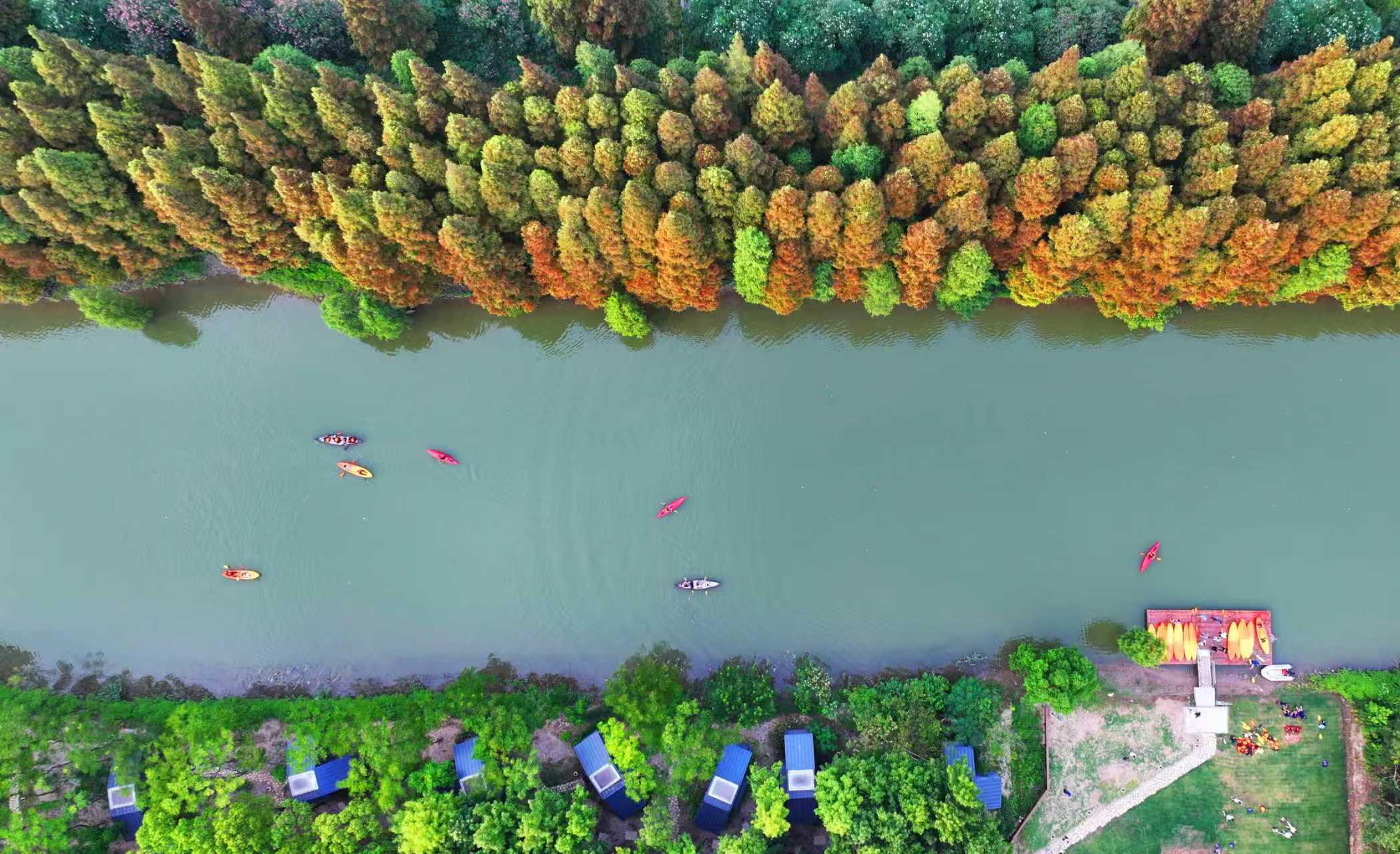 太仓璜泾镇：新质生产力的乡土答案