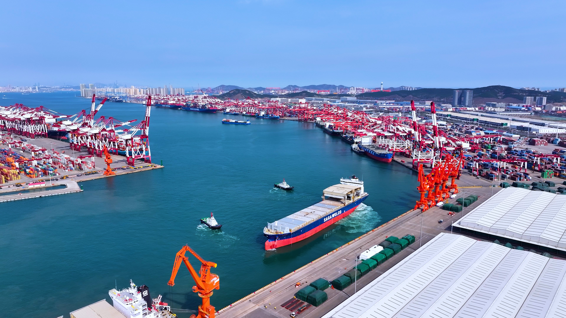 全球最大纸浆进口港书写发展新篇—— 山东港口青岛港：1-10月纸浆吞吐量同比增长17%，再创历史新高