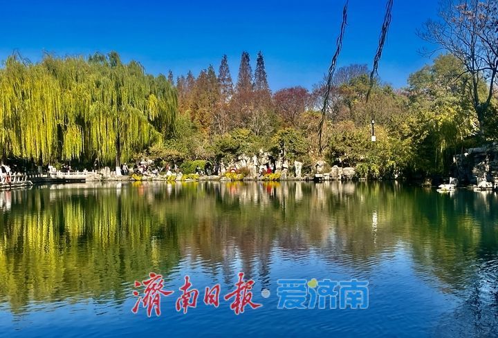 一年四季 泉在济南丨落叶绘“萌鹿” 济南五龙潭打卡冬日限定浪漫