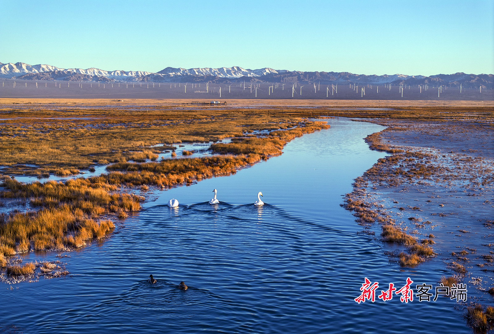 甘肃上演绝美冬日浪漫大片　快来一探究“镜”