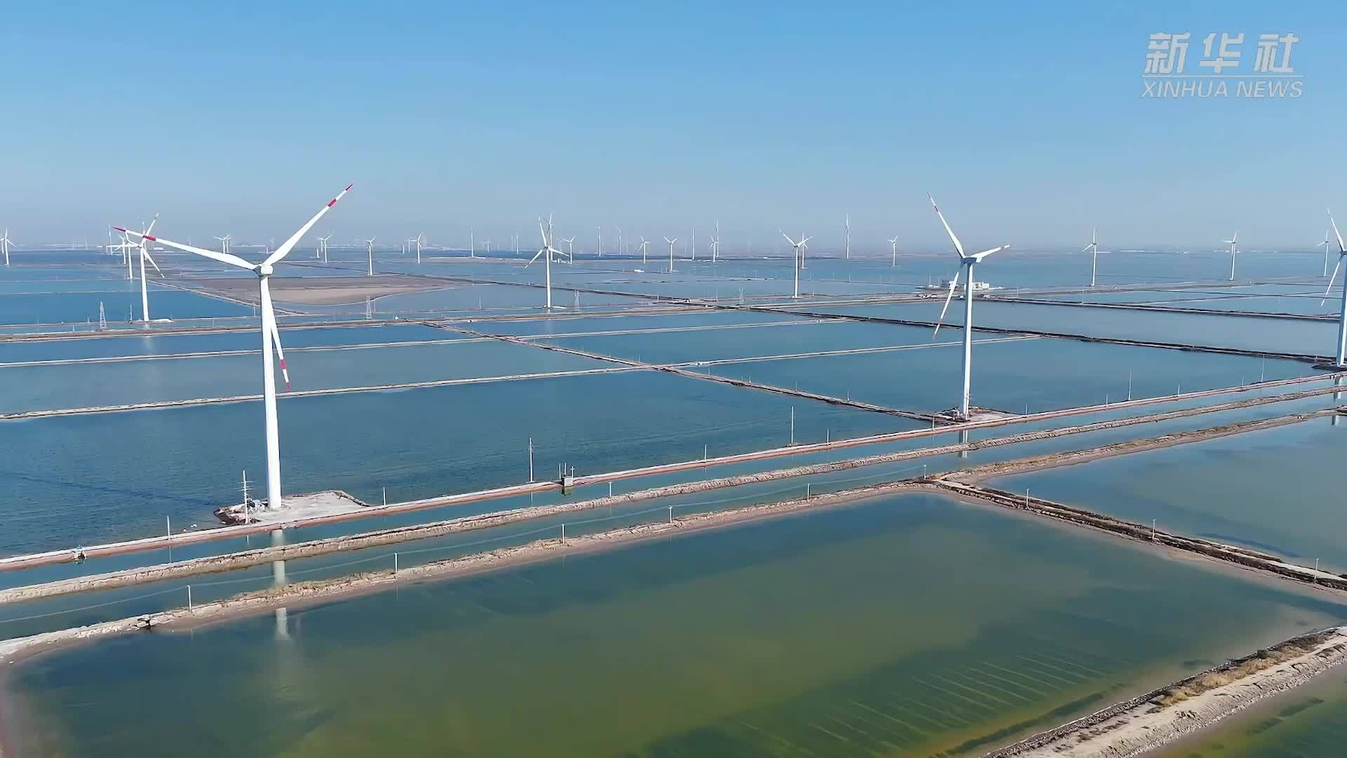 山东：向绿向新构建新型能源体系