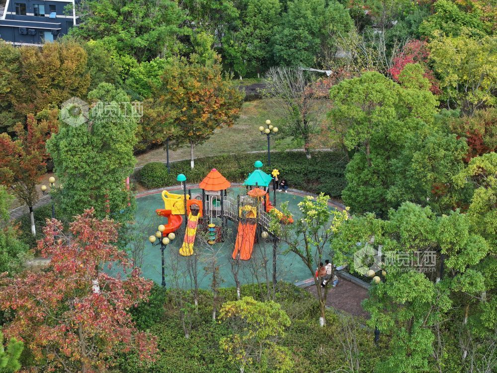 2025年11月14日,江西省萍乡市芦溪县芦洲园湿地公园,色彩斑斓的公园在冬日阳光映衬下美如画卷,吸引不少市民前来拍照打卡。