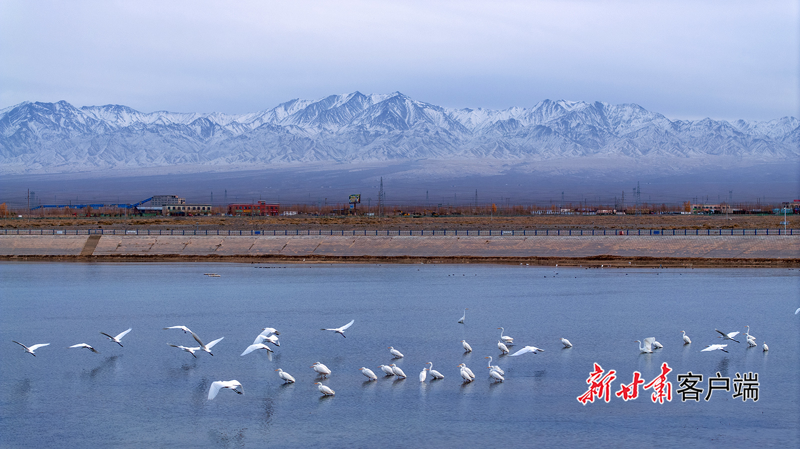 甘肃上演绝美冬日浪漫大片　快来一探究“镜”