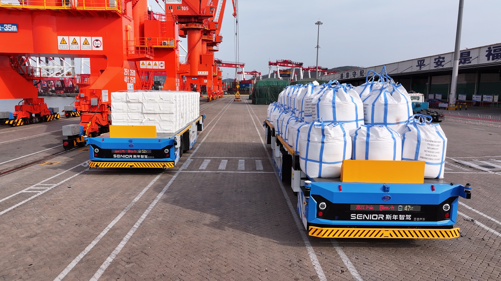 全球最大纸浆进口港书写发展新篇—— 山东港口青岛港：1-10月纸浆吞吐量同比增长17%，再创历史新高