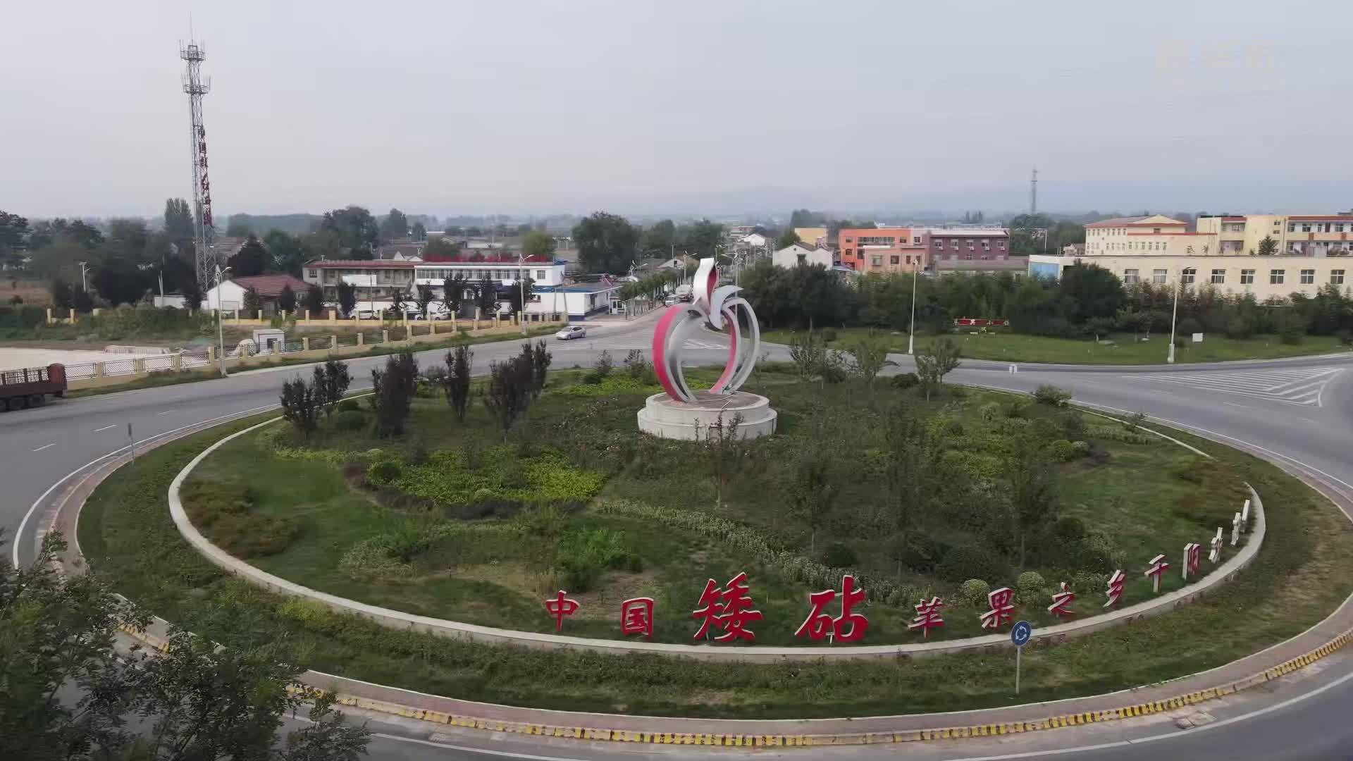 陕西千阳：小苗木“链”动起大产业