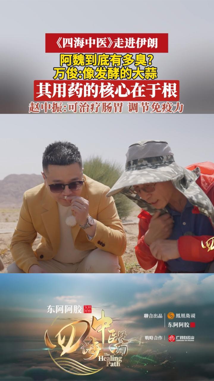 四海中医走进伊朗，探秘中药材阿魏：它到有底多臭？功效如何？