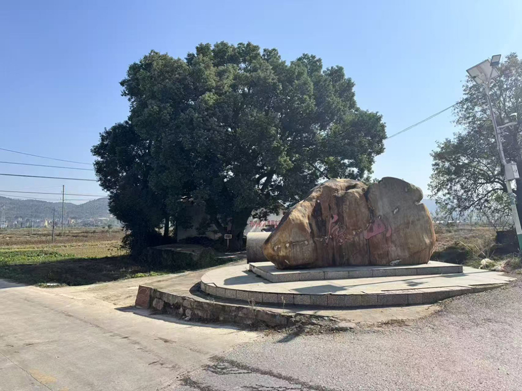 郭伟的老家层山村