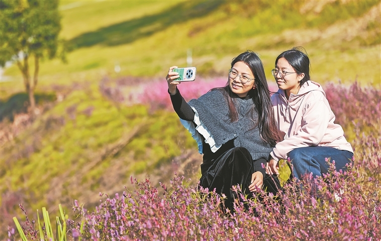 瑞昌：铜矿遗址铜草花开（图）