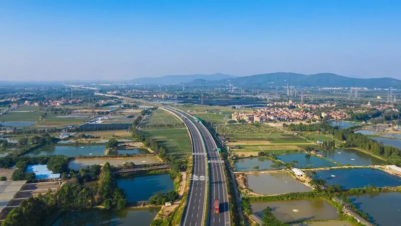 三水区乐平镇渔业资源丰富，桑基鱼塘连片