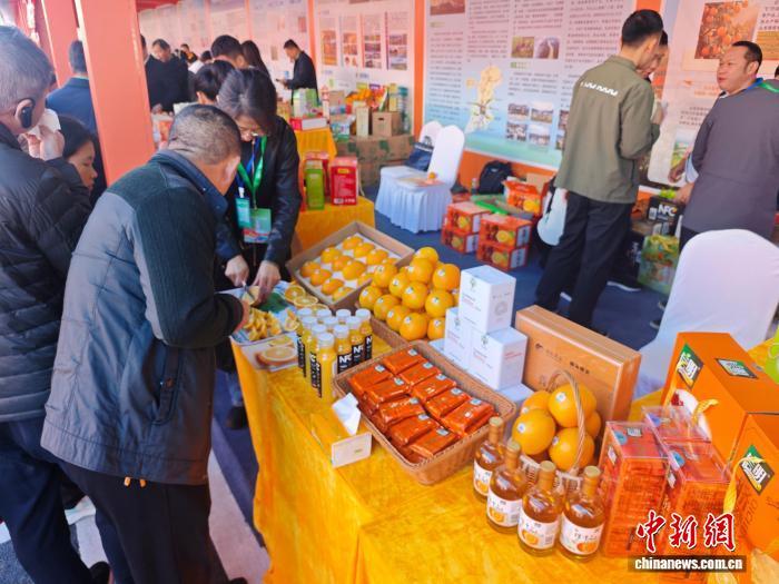 市民正在品尝赣南脐橙。　熊锦阳 摄