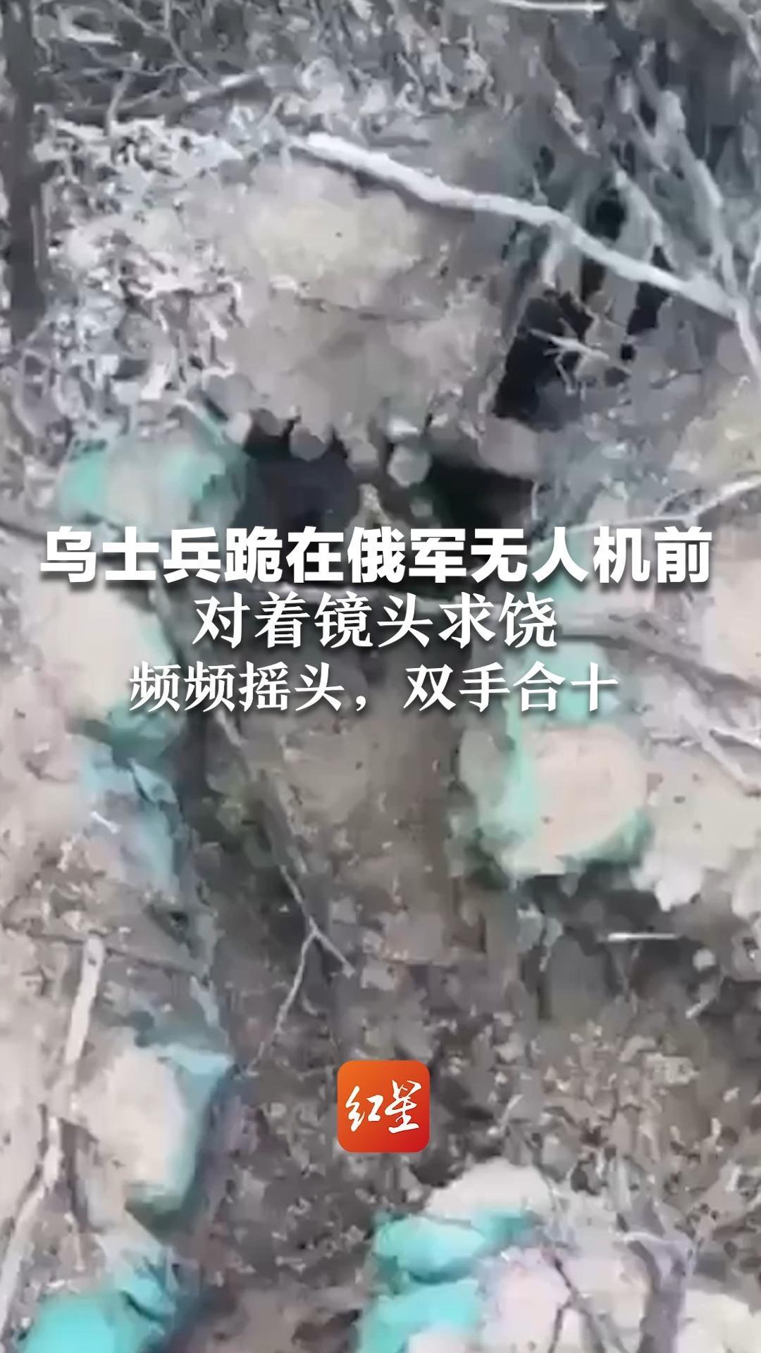 乌士兵跪在俄军无人机前 对着镜头求饶 频频摇头，双手合十 最终在无人机护送下投降