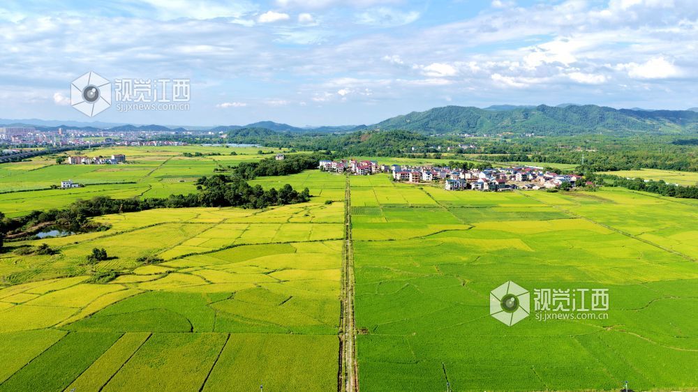 填补空白！江西发布高标准农田建设项目4项新标准