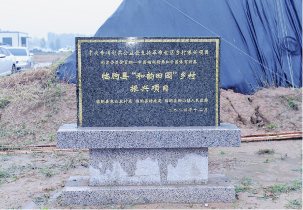 小彩票撬动大产业！临朐“蓝莓”，公益“金果”