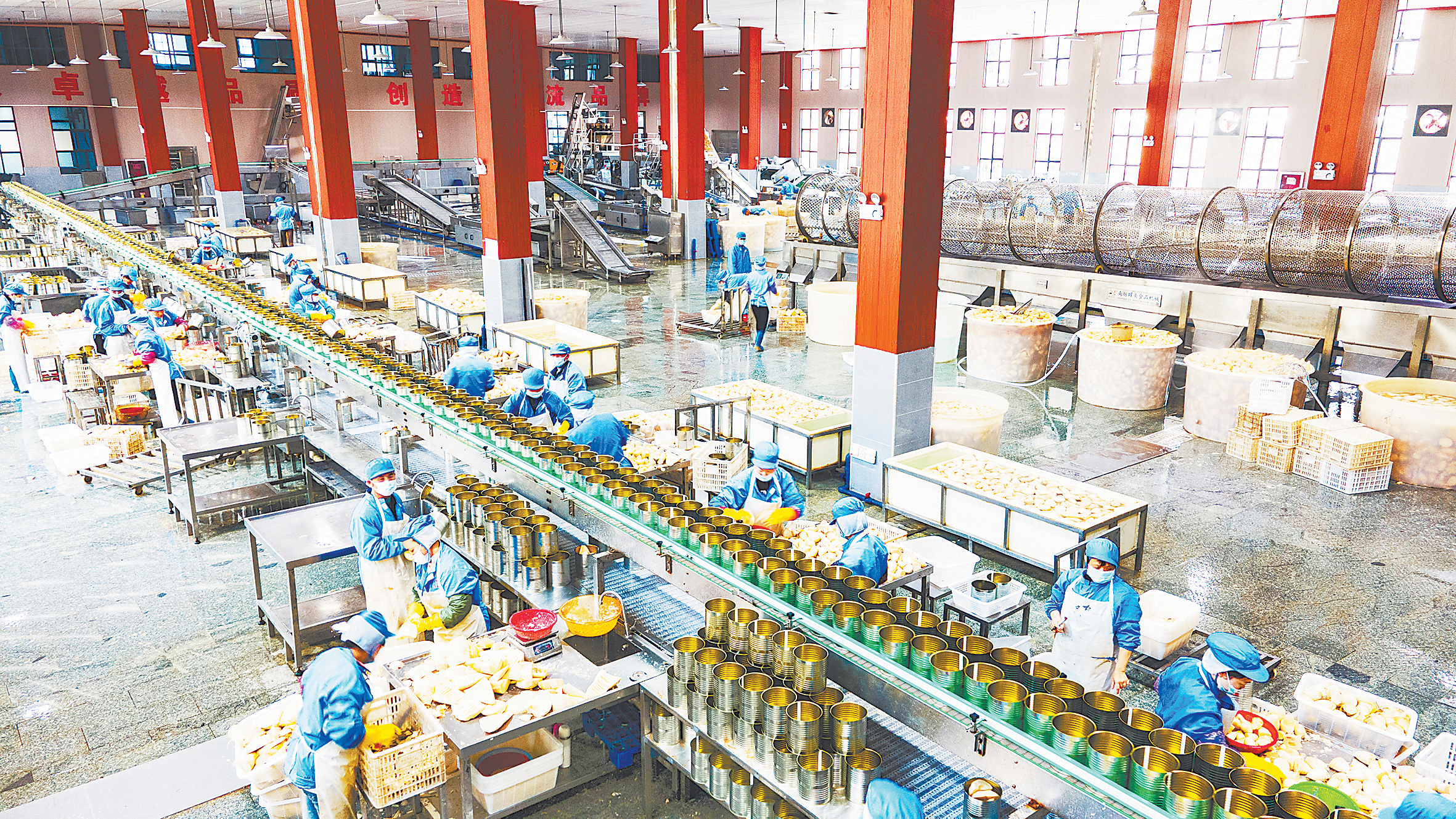 签下622万美元出口订单 乐安竹笋从“山中鲜”成“全球香”