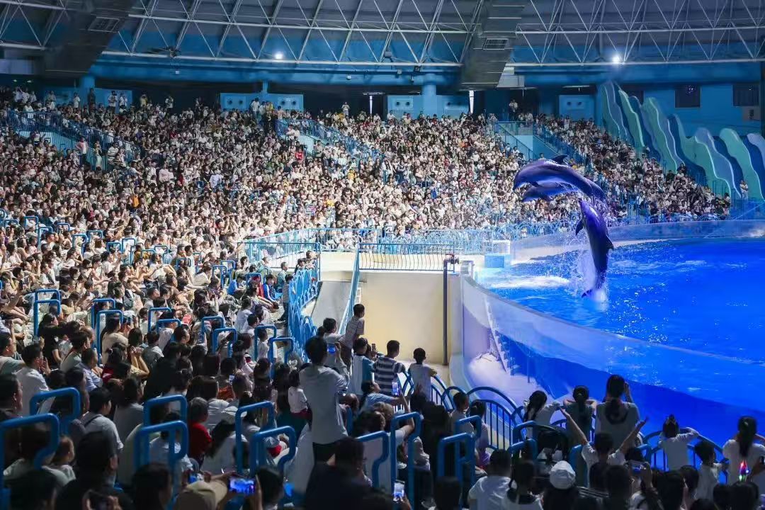 五年来，徐州消费引擎动力澎湃