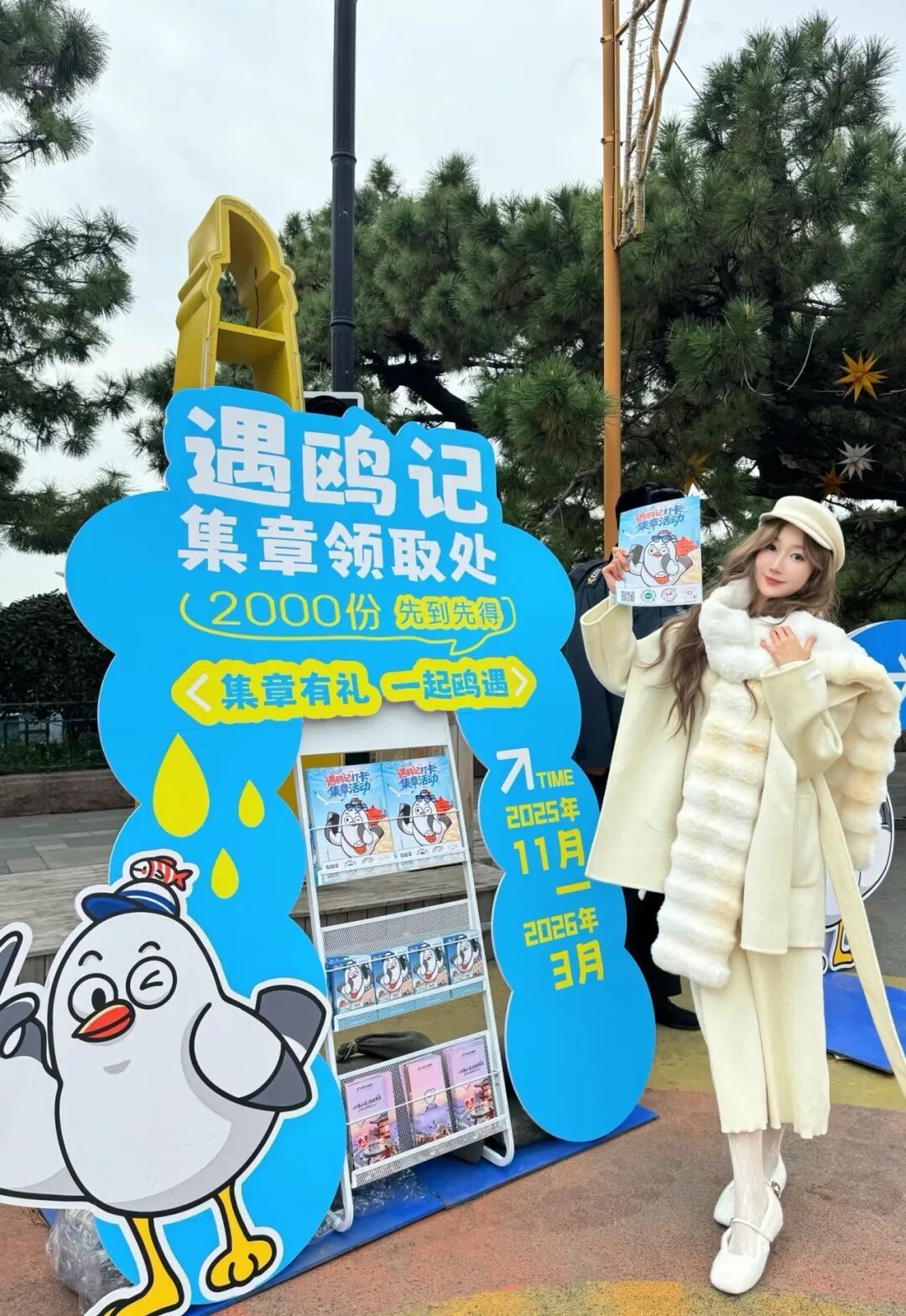 限定周边等你拿！青岛海鸥季打卡全攻略，超多玩法带你“鸥”遇青岛