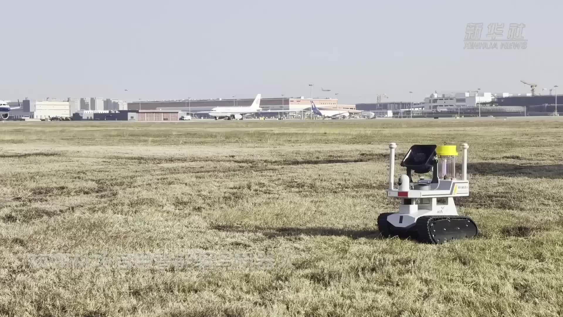 杭州机场启用智能驱鸟机器人