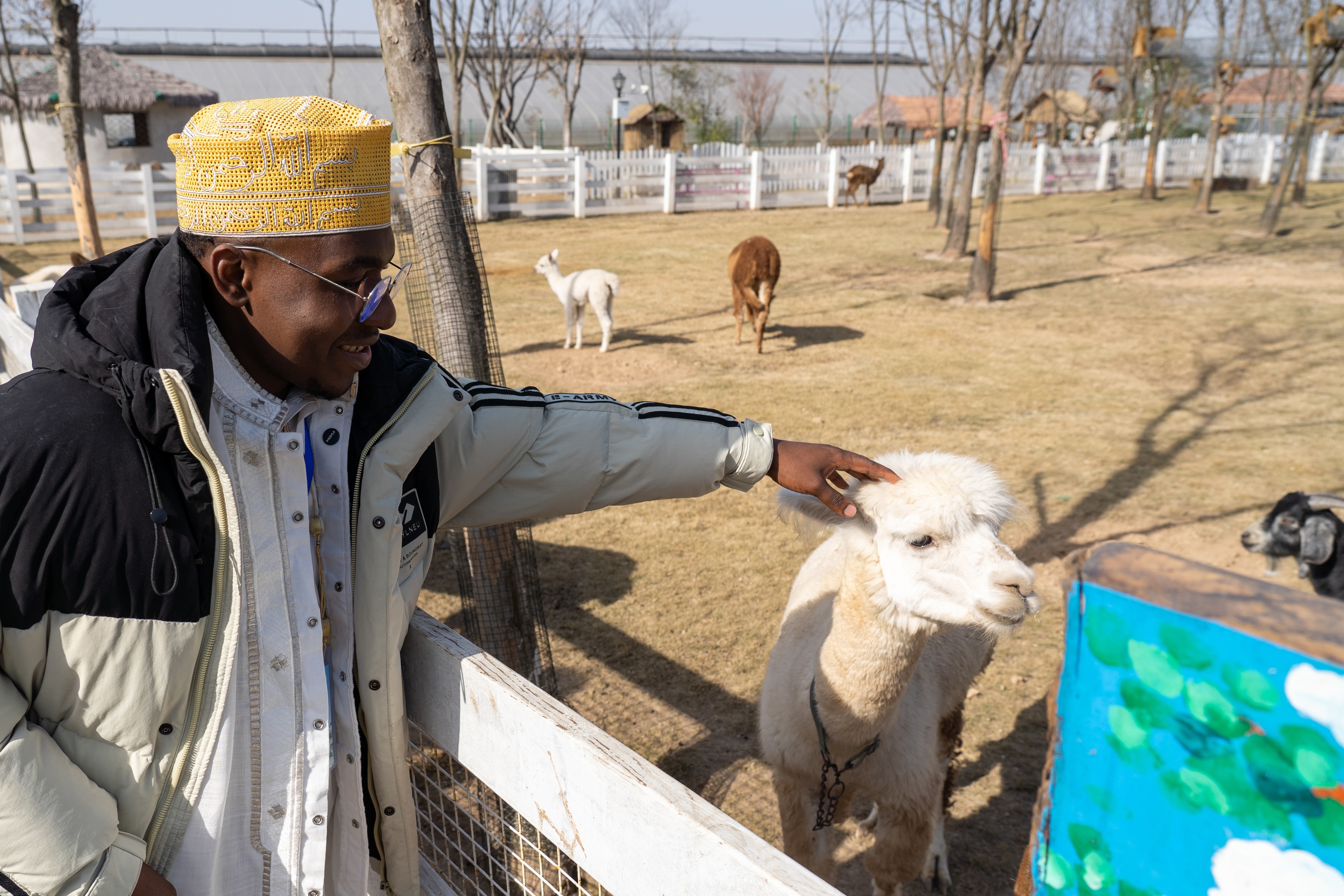 精彩“经开六小时”,惊艳外籍留学生
