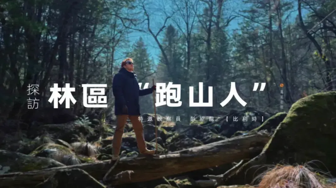 探访林区“跑山人”