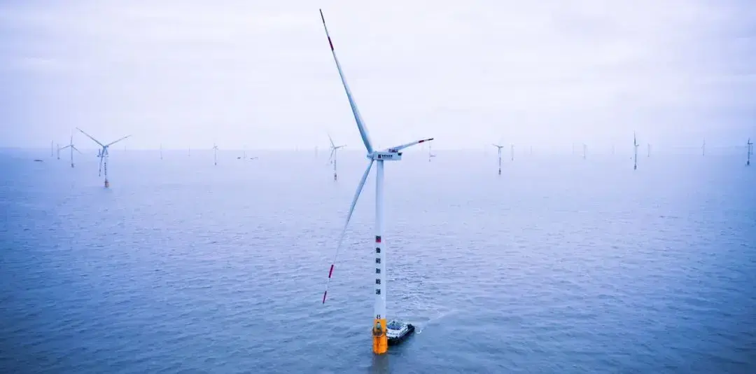 图片来源:如东发布