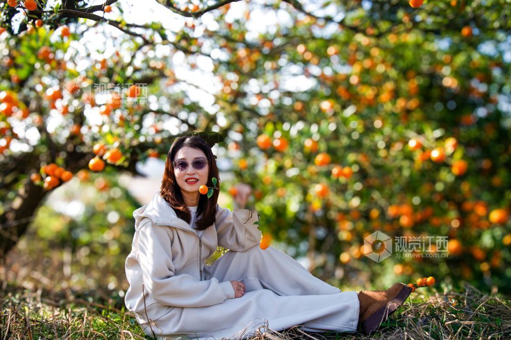 2025年11月22日，在江西省抚州市南丰县洽湾镇桃源村蜜橘园里，游客穿着整齐划一的村姑服装采摘蜜橘，感受丰收的喜悦。
