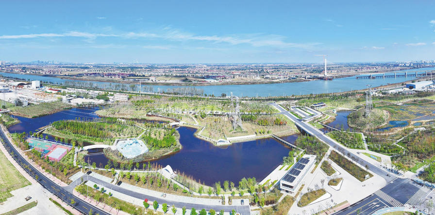 南昌：湿地冬韵（图）