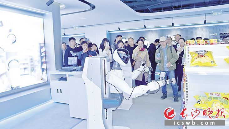 在湖南具身智能创新中心一楼展示区，一个由机器人主导的“未来世界”全景铺开。