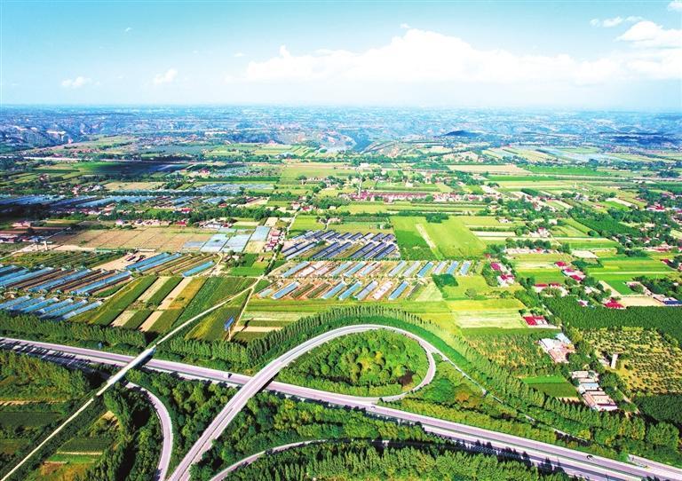 庆阳董志塬　李泳宏