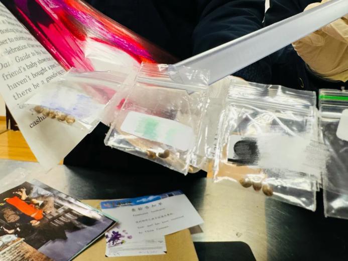 图片来源：“海关发布”微信公众号