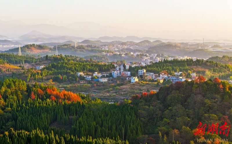 11月28日,新田县中山街道,错落有致的民居、色彩斑斓的山峦在晨光映照下相映成景,构成一幅美丽的乡村生态画卷。刘贵雄 摄(湖南图片库)