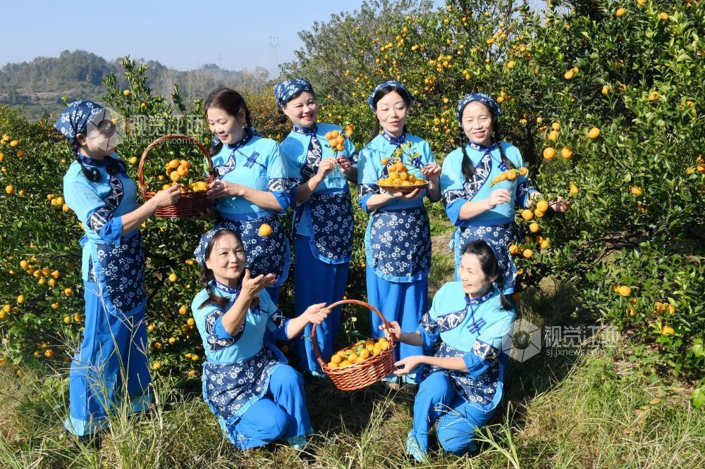 2025年11月22日，在江西省抚州市南丰县洽湾镇桃源村蜜橘园里，游客穿着整齐划一的村姑服装采摘蜜橘，感受丰收的喜悦。