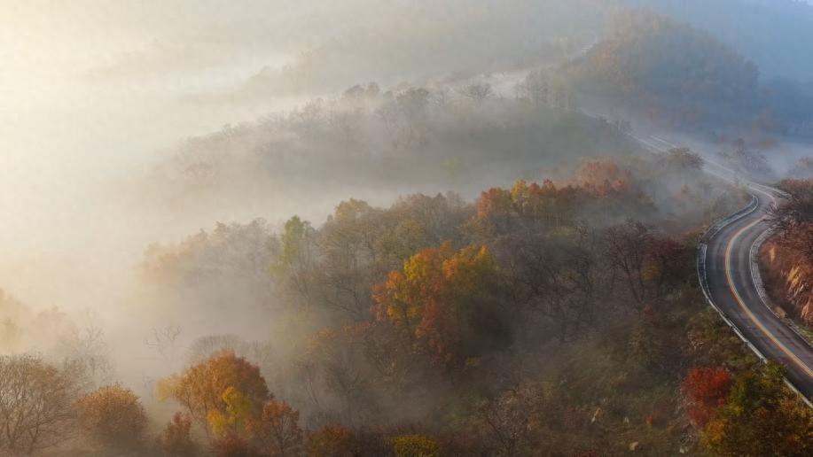 山雾如轻纱漫卷，晕染出一幅朦胧的水墨长卷。张弘 摄