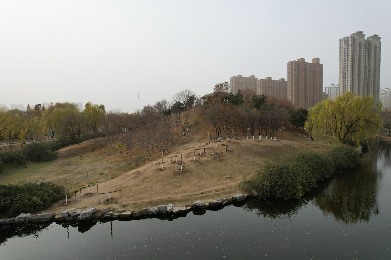 图：保定市植物园岩生水生园北侧